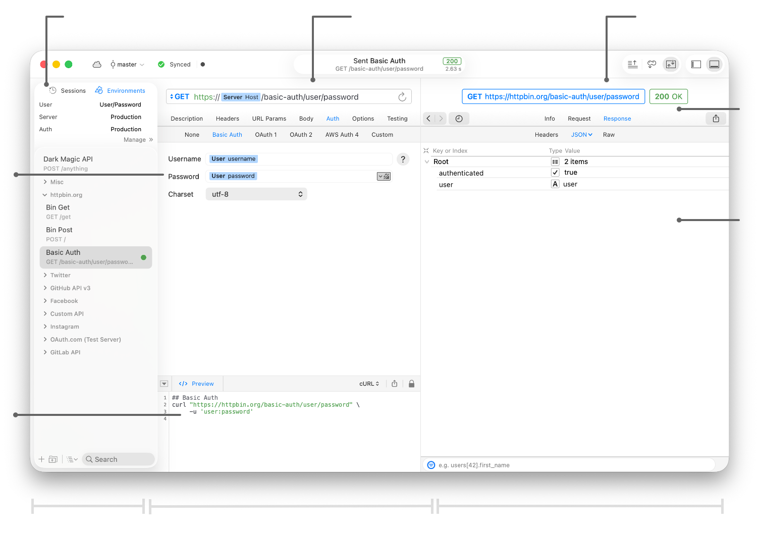 RapidAPI for Mac – A full-featured visual HTTP client